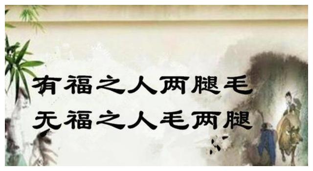 俗语 有福之人两腿毛 无福之人毛两腿 为何这么说 有道理吗 汗毛 俗语 农民 新浪新闻