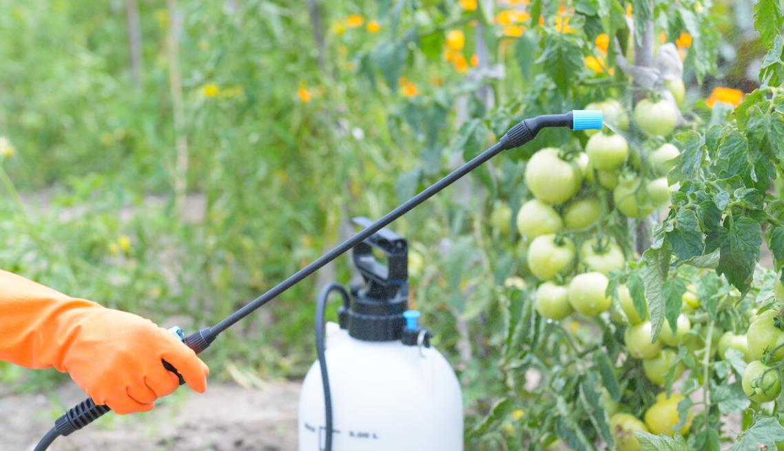 翼猫科技:舌尖上的"农药"杀手!怎样洗蔬菜,才算吃的放心?