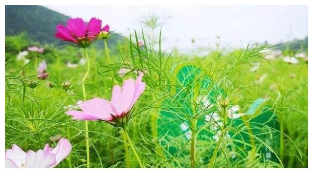 2月28日 3月18日 多贵人相助的三大星座 定能苦尽甘来生活甜美