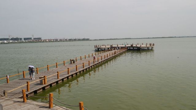 1 / 6 南海湿地景区位于包头市东河区南侧,是一处面积很大,风景绝佳的