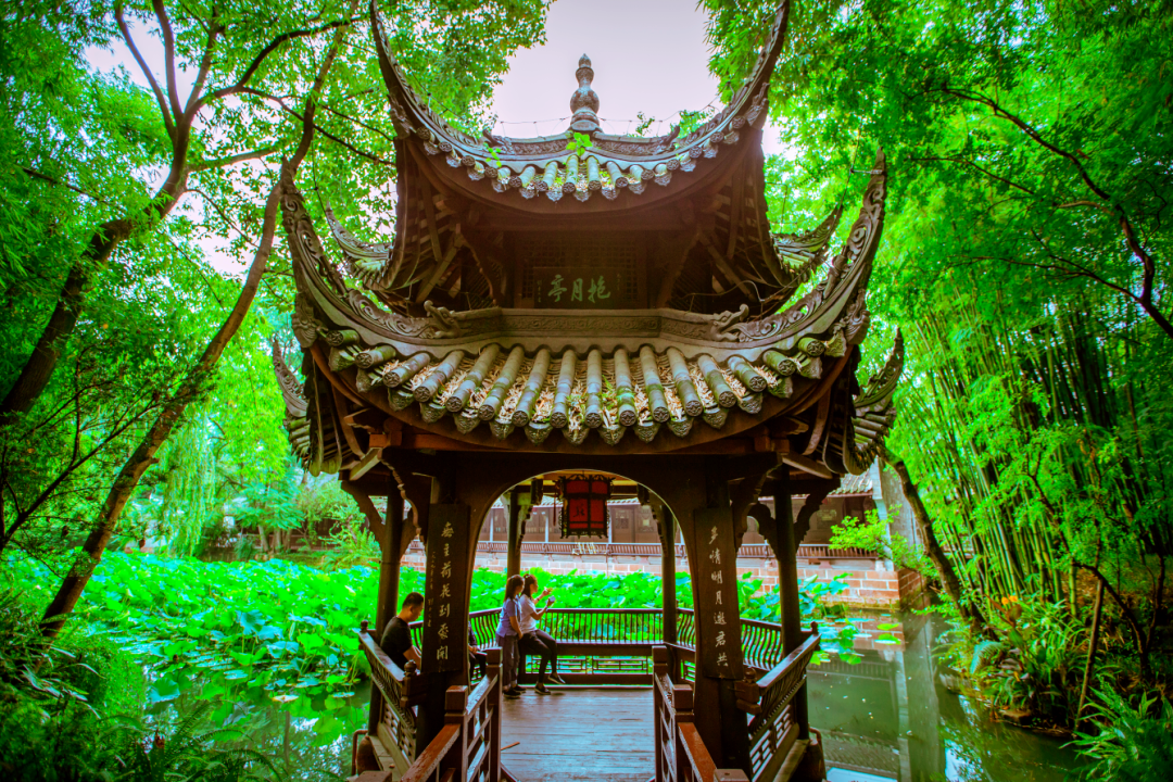 五一大假,眉山三苏祠博物馆将举办"宋代点茶窥美"公益活动