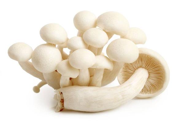 当身体缺钾时,身体会有3种症状表现,多吃这3种食物或能补充休闲区蓝鸢梦想 - Www.slyday.coM 当身体缺钾时,身体会有3种症状表现,多吃这3种食物或能补充休闲区蓝鸢梦想 - Www.slyday.coM