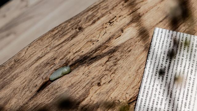 不顾妻子反对，他坚持买1层楼房，128㎡赠送60㎡庭院，装修后太美休闲区蓝鸢梦想 - Www.slyday.coM