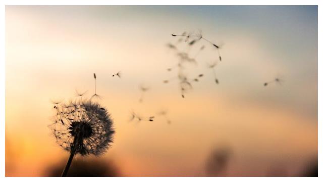 如何让双鱼座的人爱上你，按照这个恋爱建议去做，会成功休闲区蓝鸢梦想 - Www.slyday.coM