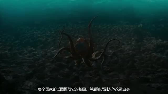 深海章鱼盗取人类基因密码，妄想改造种族称霸地球，大脑洞科幻片