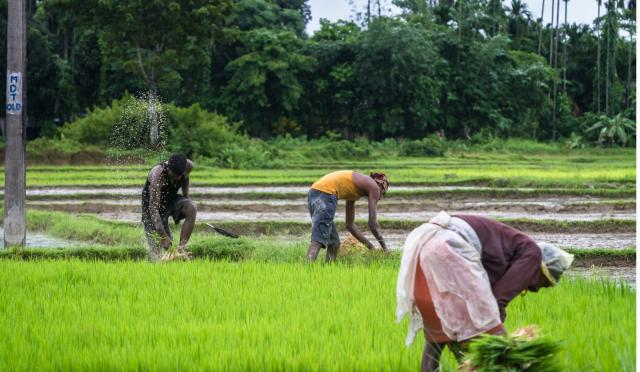 消失的中国“邻国”:连国王禁卫军都被解散,如今被并入到<a href=