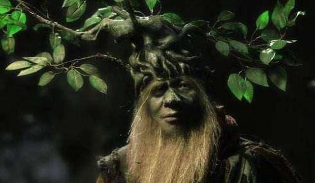 西游记中荆棘岭的树精并没伤害唐僧为何惨遭孙悟空灭门杀害