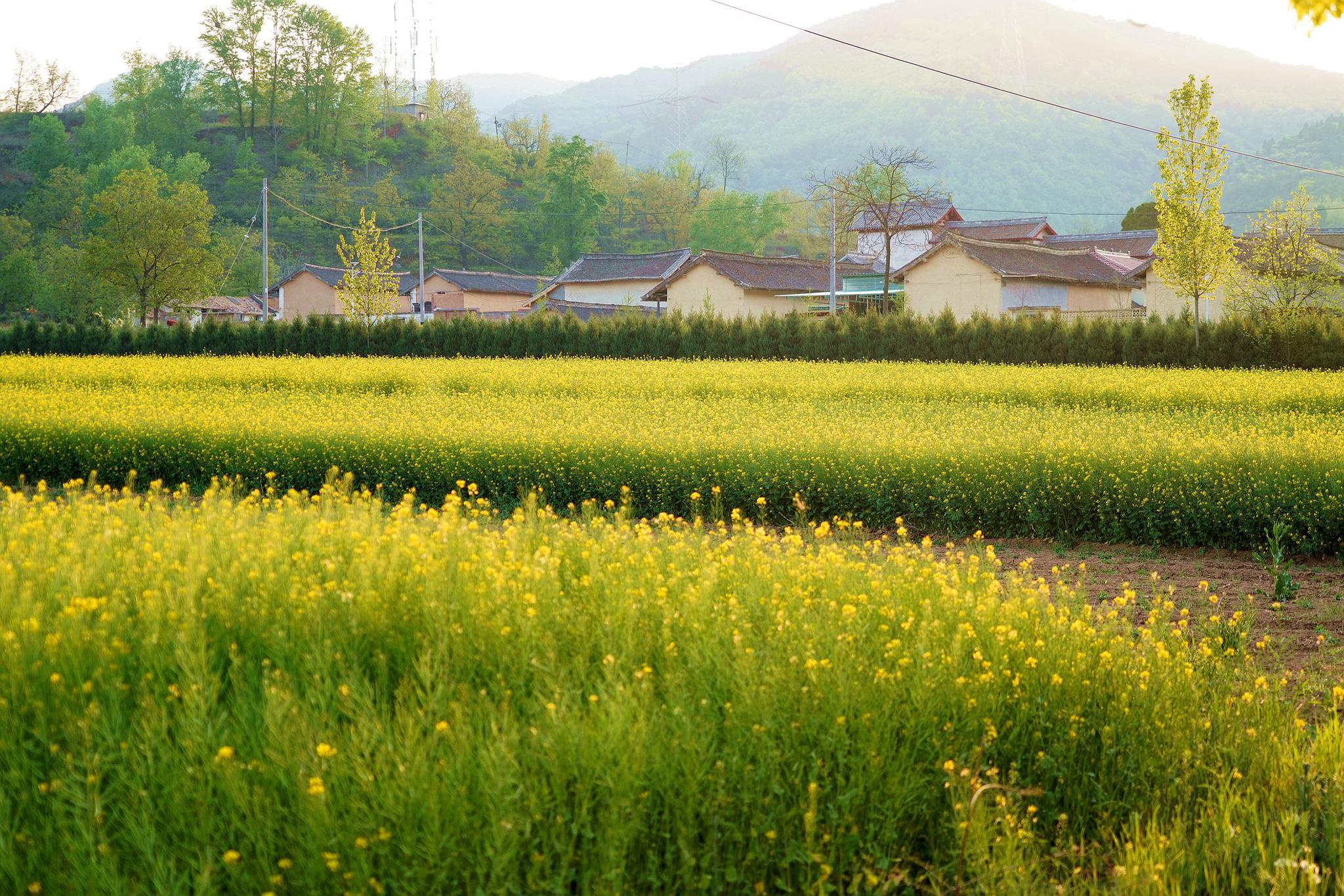 无人机在太行山发现世外桃源,环境优美,农民生活悠然就像一幅画