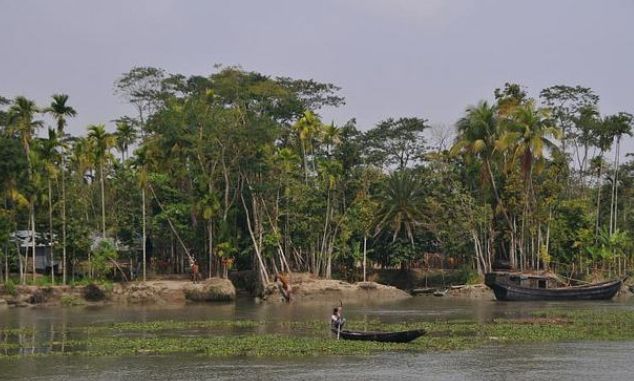 孙德尔本斯红树林:世界上最大的红树森林之一!