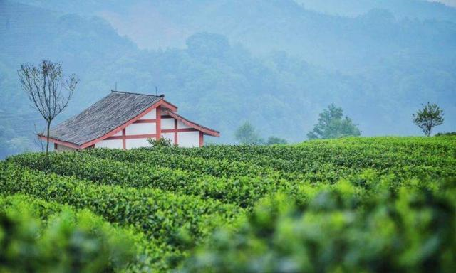 中国降雨最多的城：一年下雨220天被誉为雨都，有最大的熊猫基地休闲区蓝鸢梦想 - Www.slyday.coM
