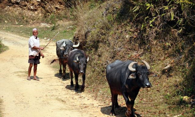 与中国仅一条河之隔,他们过着贫困落后的生活,羡慕中国少数民族休闲区蓝鸢梦想 - Www.slyday.coM 与中国仅一条河之隔,他们过着贫困落后的生活,羡慕中国少数民族休闲区蓝鸢梦想 - Www.slyday.coM