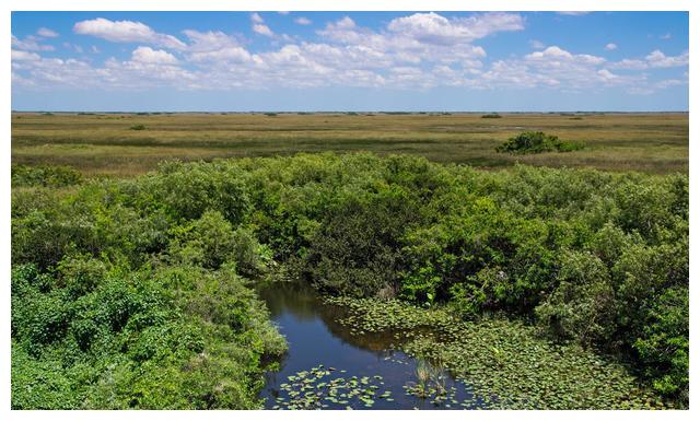 泽地萃利见大人