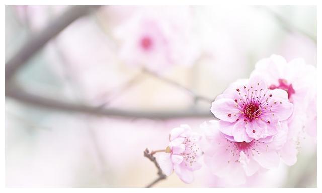 “虎年命好，必有先兆”：以下这几类人，会在人生下半场时来运转休闲区蓝鸢梦想 - Www.slyday.coM