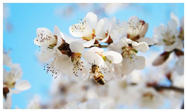 “虎年命好，必有先兆”：以下这几类人，会在人生下半场时来运转休闲区蓝鸢梦想 - Www.slyday.coM