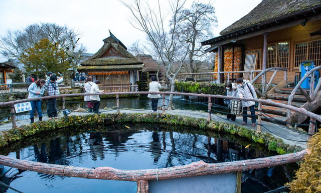 日本微缩版九寨沟，1200年富士山雪水汇成8清泉，门票免费