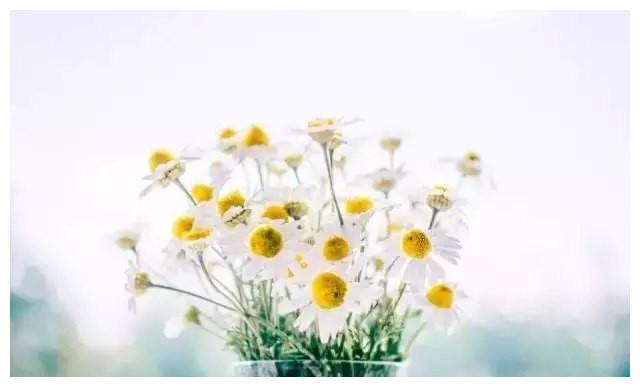 “虎年命好，必有先兆”：以下这几类人，会在人生下半场时来运转休闲区蓝鸢梦想 - Www.slyday.coM