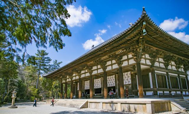 日本国宝唐招提寺,世界上保存最完整的唐朝建筑,鉴真主持建造|金堂|唐