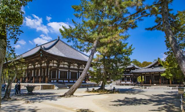 世界上保存最完整的唐朝建筑,鉴真主持建造|金堂|唐招提寺|中日_新浪