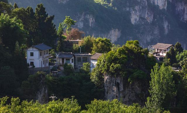 纳雍seo网站优化公司