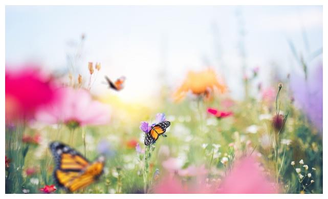 8月17日黄历新说 周二农历七月初十 运势早知道