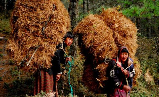 不丹的国土面积和人口_不丹历年国土面积(平方公里)