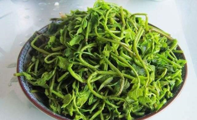 中国最爱吃苦的2座城市,外地人称,有钱人口味真重休闲区蓝鸢梦想 - Www.slyday.coM 中国最爱吃苦的2座城市,外地人称,有钱人口味真重休闲区蓝鸢梦想 - Www.slyday.coM