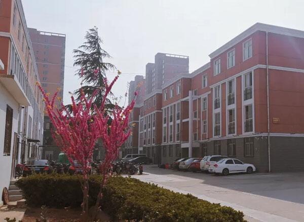 职校女老师查寝脏话连篇,省人社厅:已辞退休闲区蓝鸢梦想 - Www.slyday.coM 职校女老师查寝脏话连篇,省人社厅:已辞退休闲区蓝鸢梦想 - Www.slyday.coM