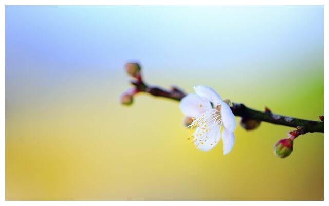 “虎年命好，必有先兆”：以下这几类人，会在人生下半场时来运转休闲区蓝鸢梦想 - Www.slyday.coM