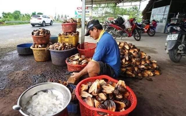 越南一泛滥的水果，自己人不爱吃中国人却超喜欢，你吃过吗？