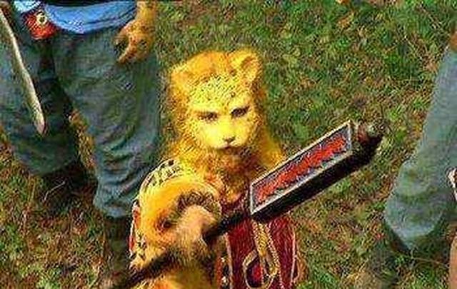 第九等级:虎先锋 狐阿七 南山大王 陆战灵感 狮猁不如猪沙的,请退群.