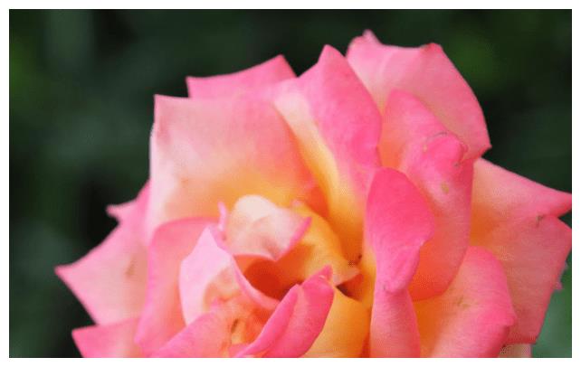 10月14日起财运大爆发,官运旺,3生肖黄金万两,财神回归休闲区蓝鸢梦想 - Www.slyday.coM 10月14日起财运大爆发,官运旺,3生肖黄金万两,财神回归休闲区蓝鸢梦想 - Www.slyday.coM