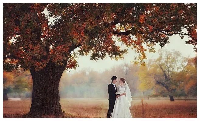 甲辰年开始 实现夙愿 喜结连理 感情 地支 结婚 新浪新闻