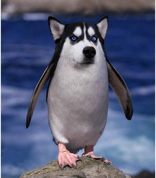 爆笑段子吃面中儿子默默的把鸡蛋夹我碗里当时的感动无以言表