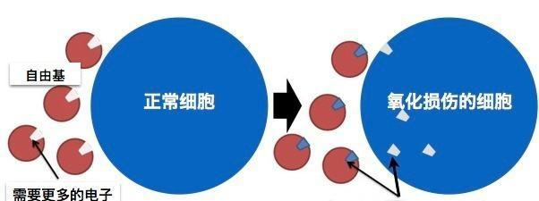 运动坚持不下去了,不是你懒,是它的错——运动性疲劳休闲区蓝鸢梦想 - Www.slyday.coM 运动坚持不下去了,不是你懒,是它的错——运动性疲劳休闲区蓝鸢梦想 - Www.slyday.coM