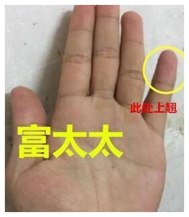 凤眼纹是好手相中的象征,在拇指第一节指节上面的指纹呈一个椭圆的的