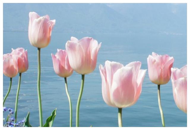 巨蟹座慢慢不搭理你的四点原因,来看为什么休闲区蓝鸢梦想 - Www.slyday.coM 巨蟹座慢慢不搭理你的四点原因,来看为什么休闲区蓝鸢梦想 - Www.slyday.coM