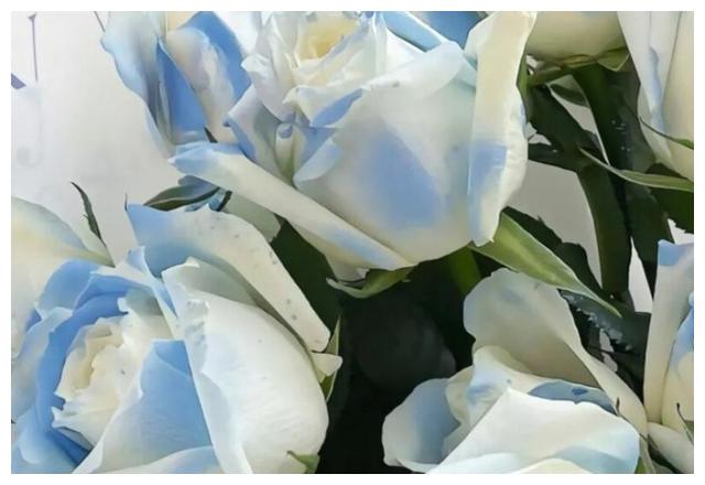 巨蟹座慢慢不搭理你的四点原因,来看为什么休闲区蓝鸢梦想 - Www.slyday.coM 巨蟹座慢慢不搭理你的四点原因,来看为什么休闲区蓝鸢梦想 - Www.slyday.coM