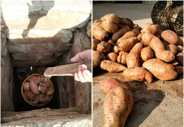 又见北方吃人的地窖村民们仍然还在用