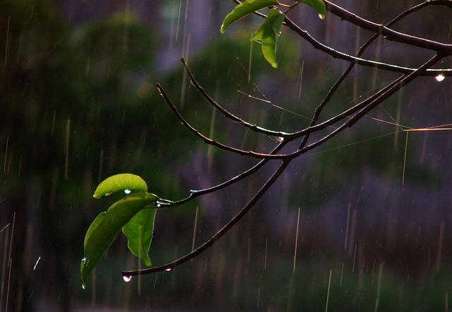 如果你觉得很不顺心,那不妨读一读张养浩这首元曲,一定会有收获休闲区蓝鸢梦想 - Www.slyday.coM 如果你觉得很不顺心,那不妨读一读张养浩这首元曲,一定会有收获休闲区蓝鸢梦想 - Www.slyday.coM