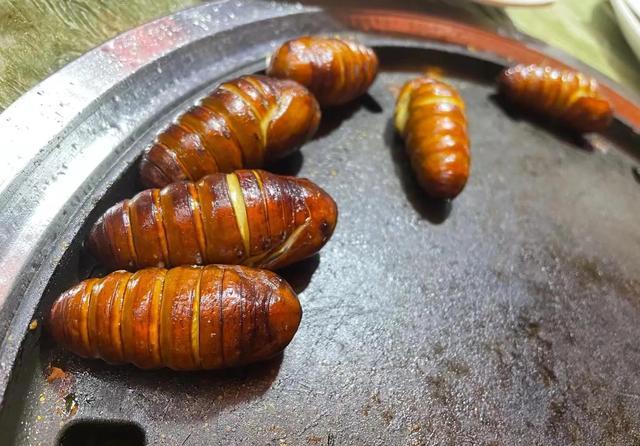 有喜欢吃油炸蚕蛹的吗