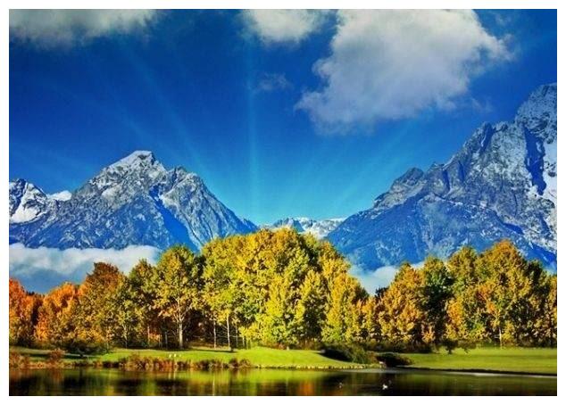 未来半个月财神爷关照财富进门运势旺盛迎财运的4大生肖