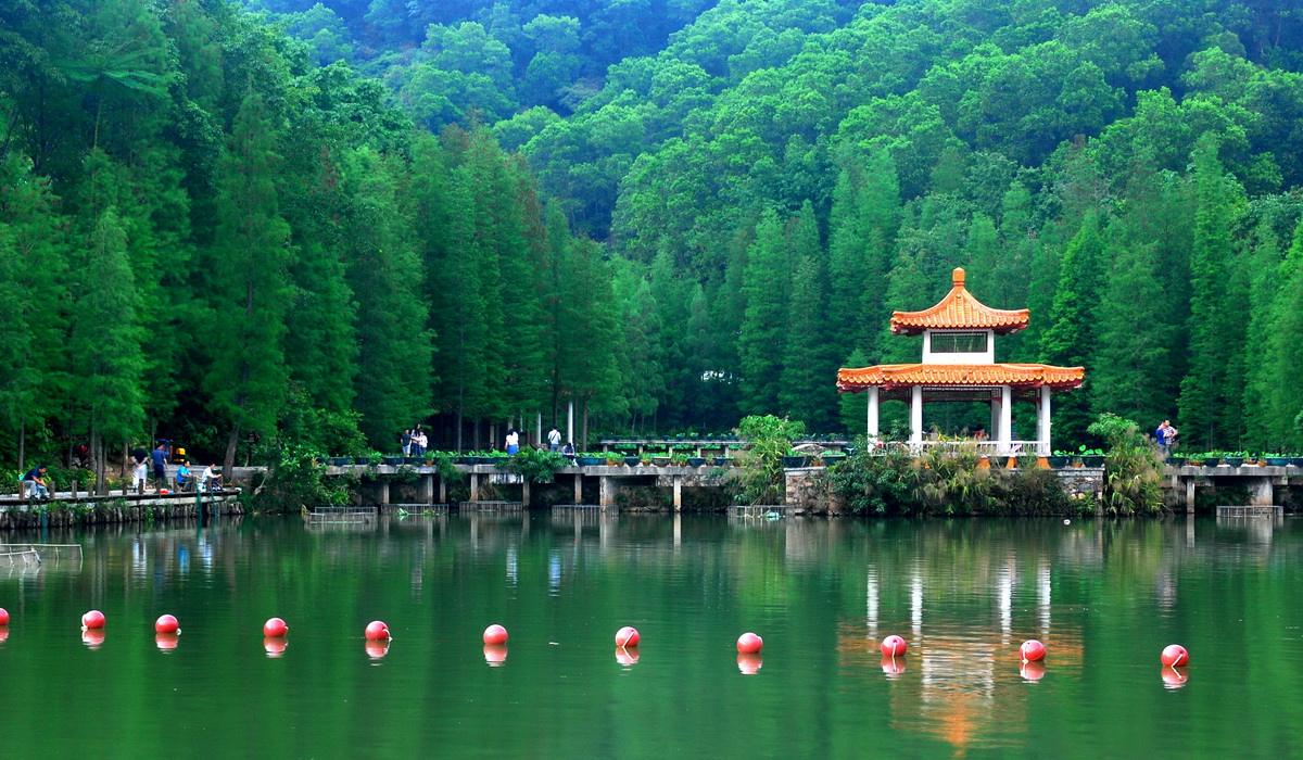 探访深圳龙园景区,环境清幽,以龙文化为特色,适合周末亲子游