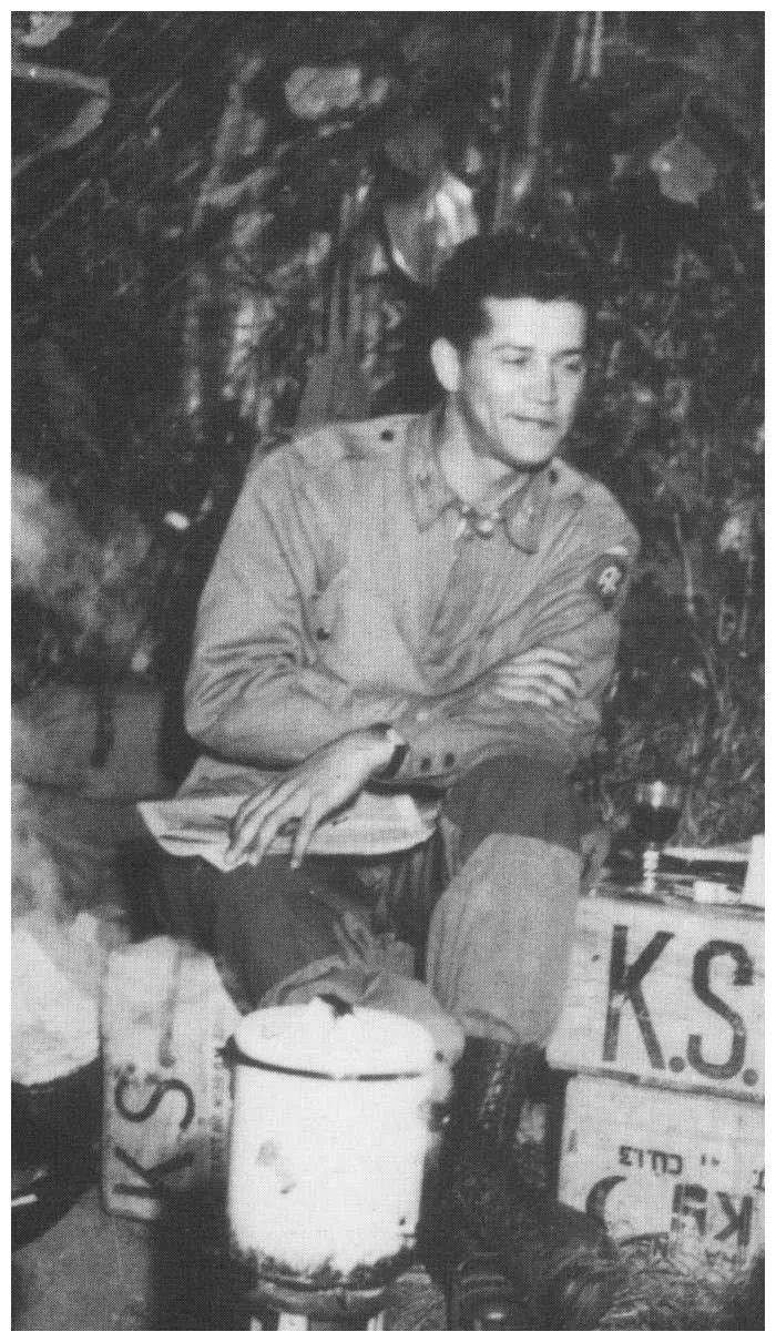 美军如何记载北极熊团被歼灭？上校团长战死，残部仓皇撤离长津湖休闲区蓝鸢梦想 - Www.slyday.coM