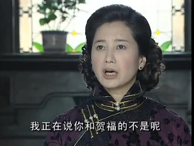 木棉花的春天:莫立群在慕家面前,下跪认错