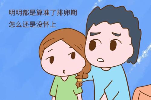 排卵期同房还是怀不上?你是不是算漏了这一点!