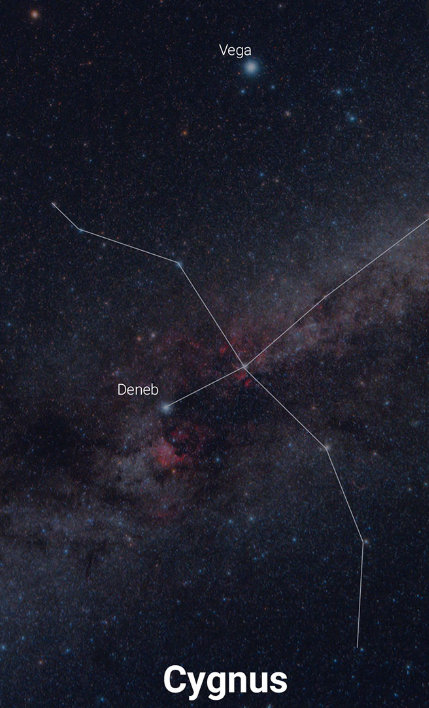 天文小知识,天鹅座:那些关于天鹅的二三事__财经头条