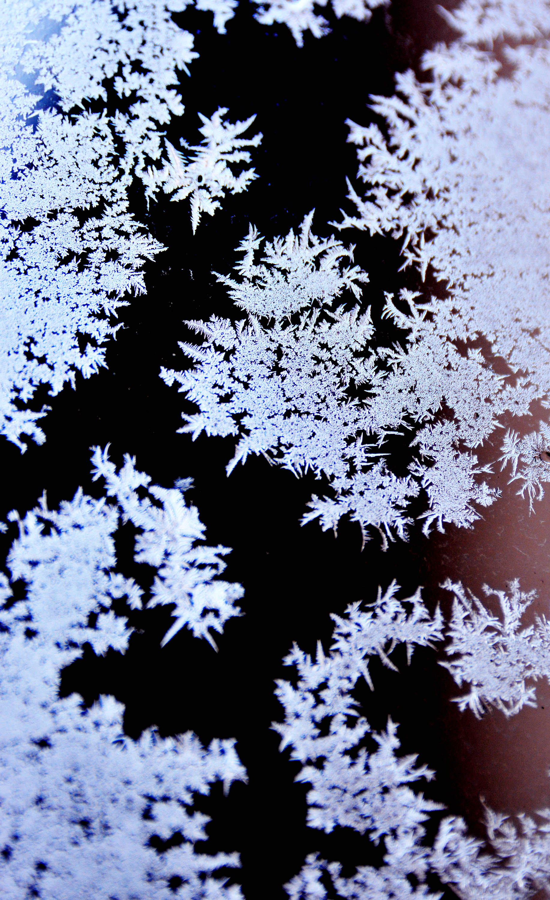 回顾2021跨年寒潮,我家窗上冰花,在南方是难得一见,无锡斗山.