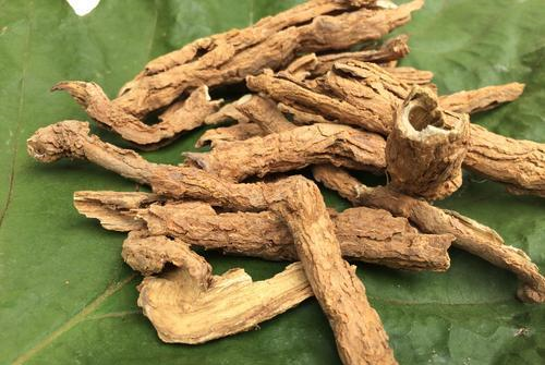 此物,强腰膝,益精髓,农村遍地是,遇见请珍惜!|地骨皮|植物|精髓_新浪新闻