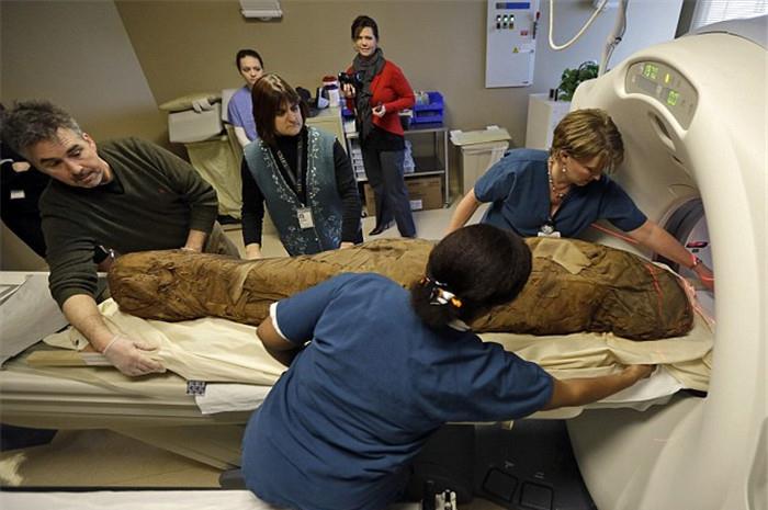 他们在制作木乃伊的过程中,会把死者的大脑从鼻子里面吸出来,然后再