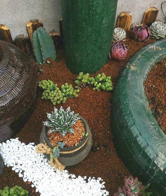 花坛左边蹲几个瓦罐,酒坛子,这些都是捡来的,里面通通种多肉.